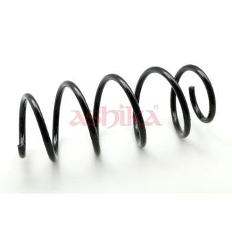 Ressort de suspension ASHIKA OEM 50707383 Ressort de suspension ASHIKA OEM 50707383