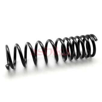 Ressort de suspension ASHIKA OEM 1124066