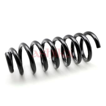 Ressort de suspension ASHIKA [ZCA6170A]