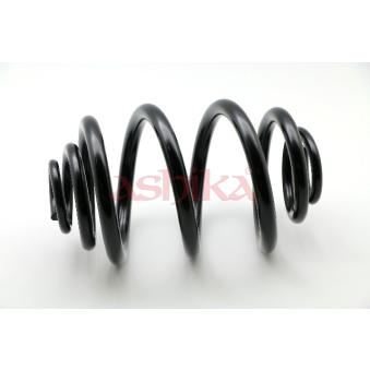 Ressort de suspension ASHIKA OEM 1094740