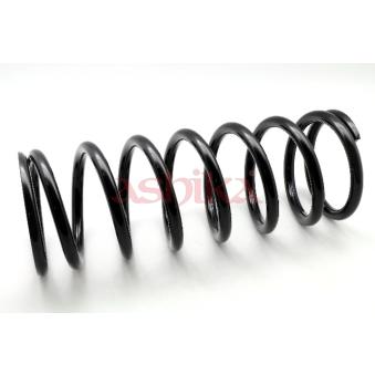 Ressort de suspension ASHIKA ZCA6217A