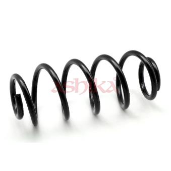 Ressort de suspension ASHIKA [ZCA6248A]