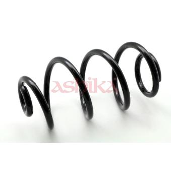Ressort de suspension ASHIKA OEM 550209U00A