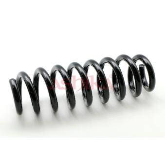 Ressort de suspension ASHIKA ZCA7060A