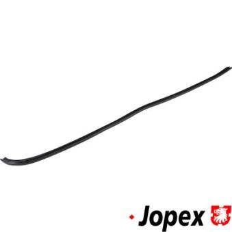 Joint d'étanchéité, vitre latérale JP GROUP 1186001570
