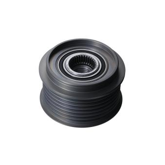 Poulie roue libre, alternateur VALEO OEM 231502W200