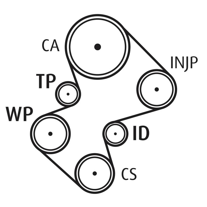 Pompe à eau + kit de courroie de distribution VALEO 614531 - Visuel 1