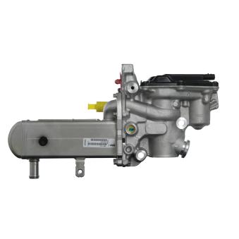 Module-EGR VALEO OEM 1811180KA1