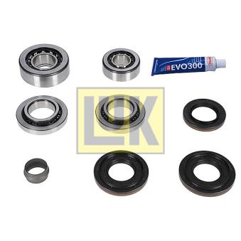 Kit de réparation, différentiel LUK OEM 7516324