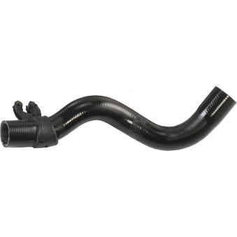 Durite de radiateur GATES OEM 7700834886