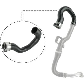 Gaine de suralimentation GATES OEM 55559260