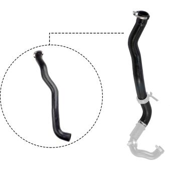 Gaine de suralimentation GATES OEM 8200921758