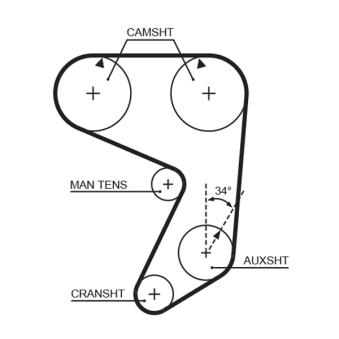 Courroie crantée GATES [5004]