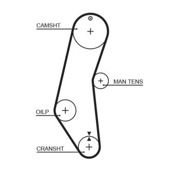 Courroie crantée GATES 5018 Courroie crantée GATES 5018