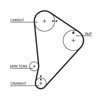 Courroie crantée GATES OEM 1356859016