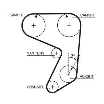 Courroie crantée GATES 5081