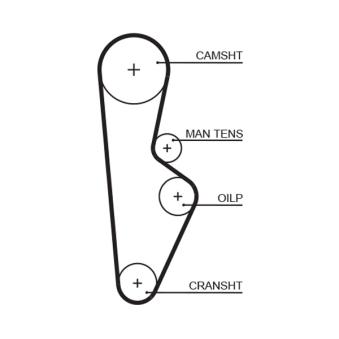 Courroie crantée GATES OEM 14400PD2004