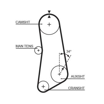Courroie crantée GATES [5089]