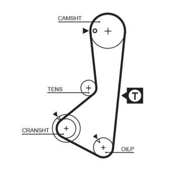 Courroie crantée GATES OEM XD102248 Courroie crantée GATES OEM XD102248