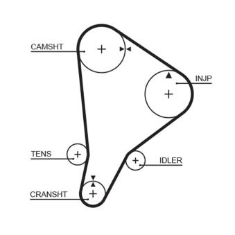Courroie crantée GATES OEM 1356859025