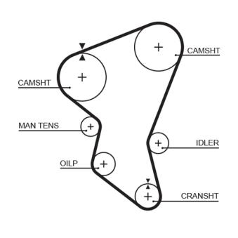 Courroie crantée GATES OEM 4295606