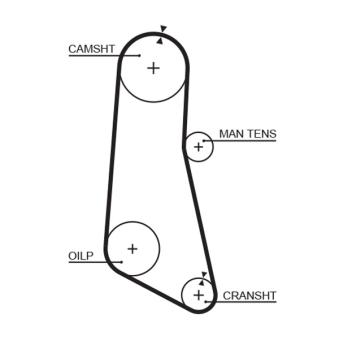 Courroie crantée GATES OEM 8970417840