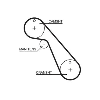 Courroie crantée GATES OEM 4834370