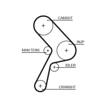 Courroie crantée GATES OEM 7553028