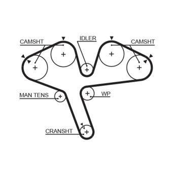 Courroie crantée GATES OEM MD179620