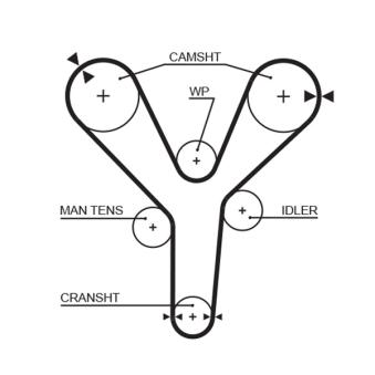 Courroie crantée GATES OEM 8970163260