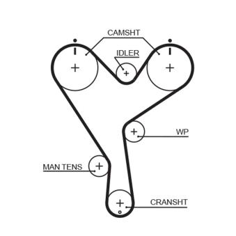 Courroie crantée GATES OEM 1356862040