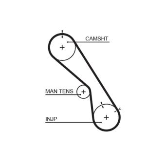 Courroie crantée GATES OEM 1356819176 Courroie crantée GATES OEM 1356819176