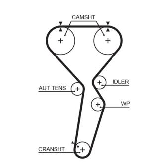 Courroie crantée GATES OEM MD377240