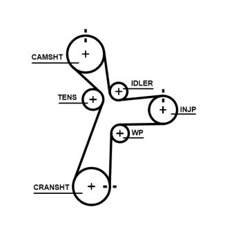 Courroie de distribution GATES 5696XS pour VOLKSWAGEN PASSAT 1.6 CRDi - 110cv Courroie de distribution GATES 5696XS pour VOLKSWAGEN PASSAT 1.6 CRDi - 110cv