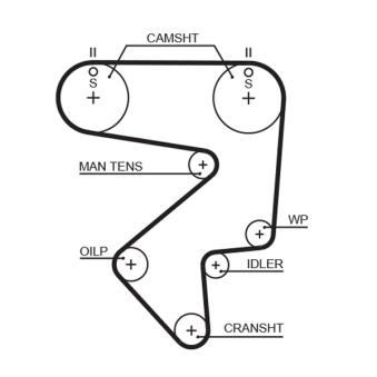 Courroie de distribution GATES T125RB