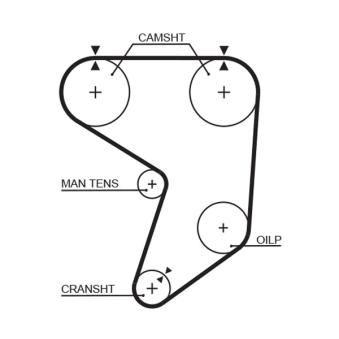 Courroie de distribution GATES OEM 1356842010