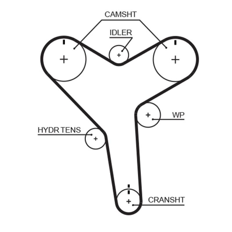 Courroie crantée GATES T257 - Visuel 1