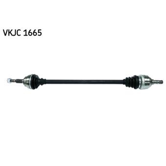 Arbre de transmission SKF VKJC 1665 pour FIAT SCUDO 1.6 16V - 101cv