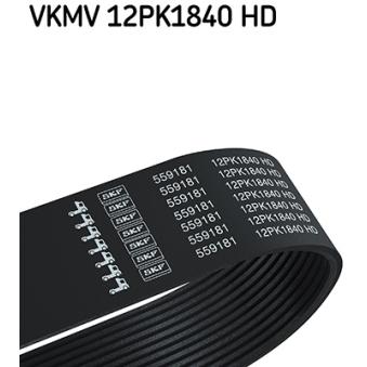 Courroie trapézoïdale à nervures SKF OEM 504022568