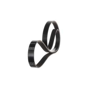 Courroie trapézoïdale à nervures SKF OEM 3111055AZ01