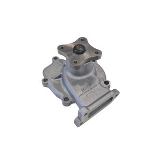 Pompe à eau SKF OEM 210100M302