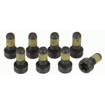 Visserie, volant moteur SACHS [1874 000 044]