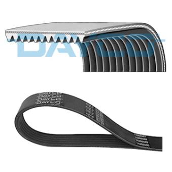 Courroie trapézoïdale à nervures DAYCO OEM 504022568