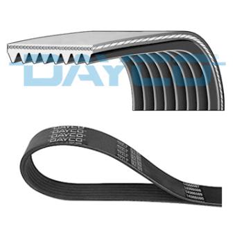 Courroie trapézoïdale à nervures DAYCO [8PK1475HD]
