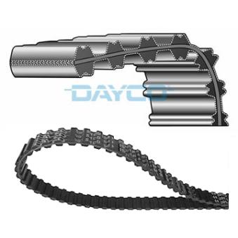 Courroie crantée DAYCO OEM 60812382