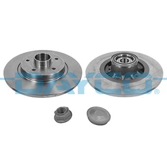 Jeu de 2 disques de frein arrière DAYCO OEM 432020879R