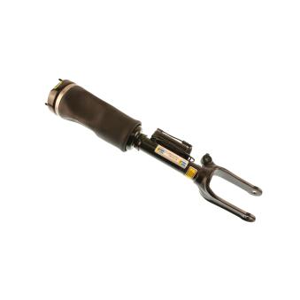 Vérin BILSTEIN OEM 2513205613 Vérin BILSTEIN OEM 2513205613
