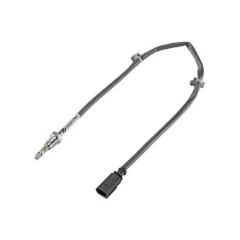 Palpeur, température des gaz Continental VDO OEM 03L906088BT Palpeur, température des gaz Continental VDO OEM 03L906088BT