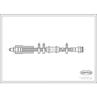 Flexible de frein CORTECO OEM 480624