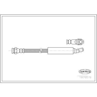 Flexible de frein CORTECO 19018579 pour FIAT REGATA 85 1.5 - 79cv